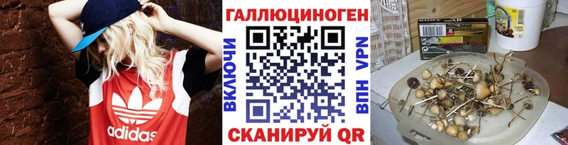 купить   Галич  кракен ССЫЛКА  Галлюциногенные грибы MAGIC MUSHROOMS 
